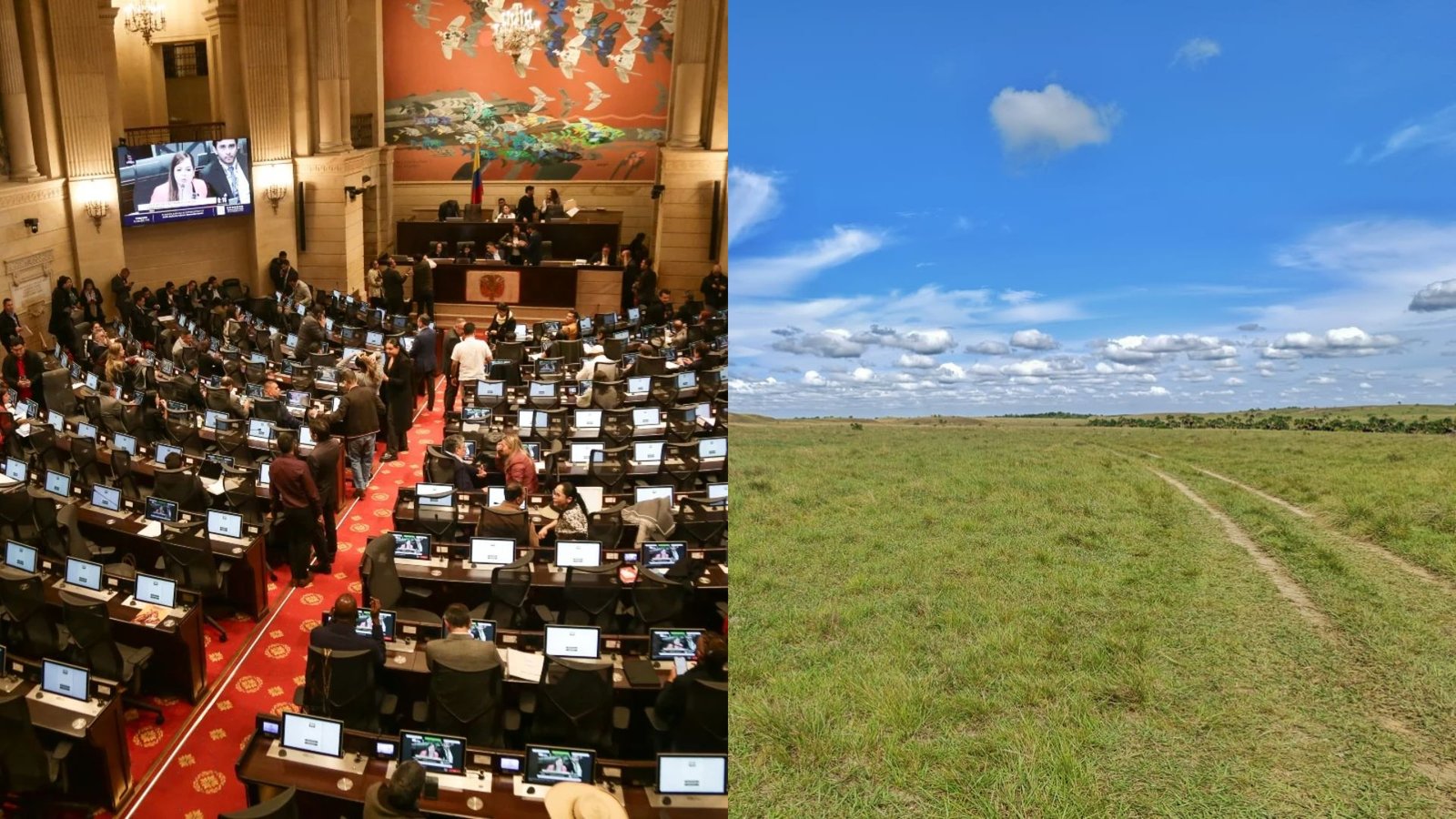 Investigación revela congresistas vinculados a ocupación ilegal de baldíos de la nación