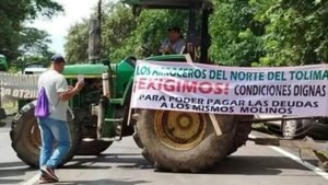 Arroceros advierten posible paro nacional ante el ingreso de arroz estadounidense sin aranceles